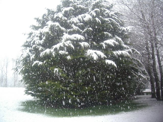 Parc du Mont Soleil sous la neige - Outreau