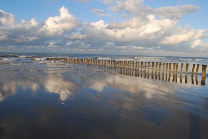 Reflets - Oye-Plage