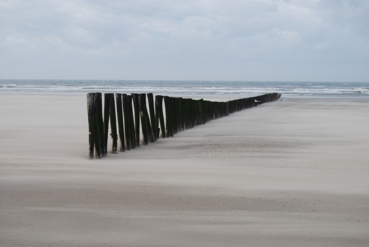 Tempête de sable - Oye-Plage