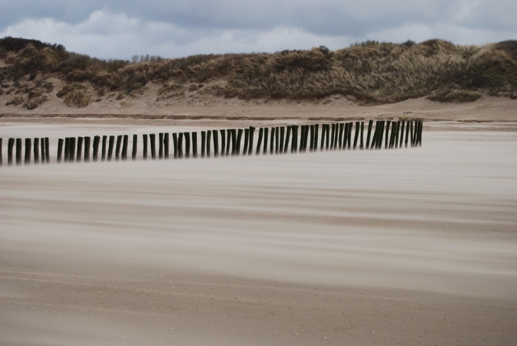 Tempête de sable - Oye-Plage