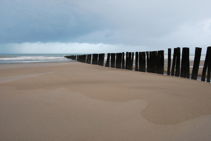 Couleurs hivernal - Oye-Plage