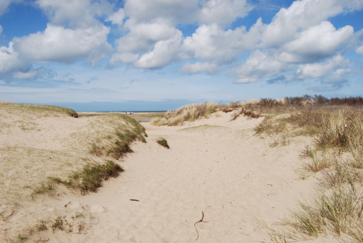 Dune - Oye-Plage