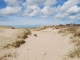 Photo suivante de Oye-Plage dune