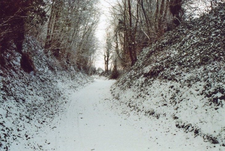 NATURE PURE - Rebreuve-sur-Canche