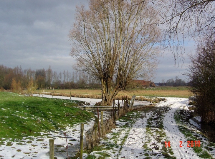 Campagne en hiver - Saint-Floris