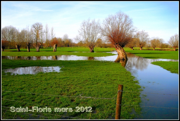 Derniers sursauts de l' hiver à la mi-mars 2012 - Saint-Floris