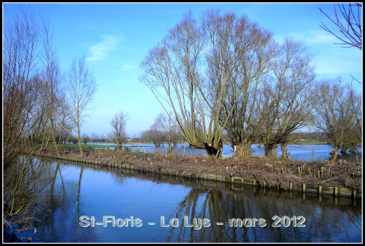 Derniers sursauts de l' hiver à la mi-mars 2012 - Saint-Floris