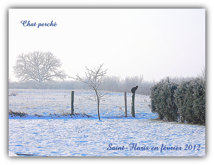 Saint-Floris Hiver février 2012