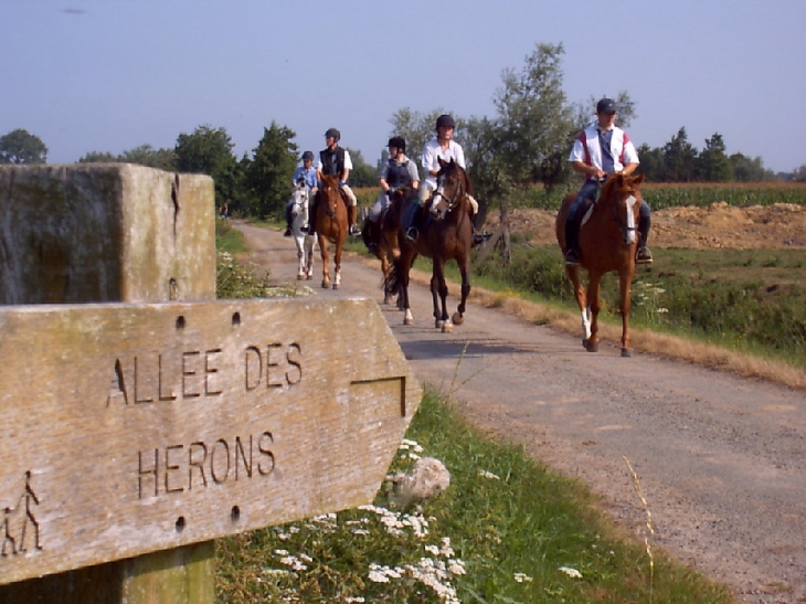 Balade vers la Lys - Saint-Venant