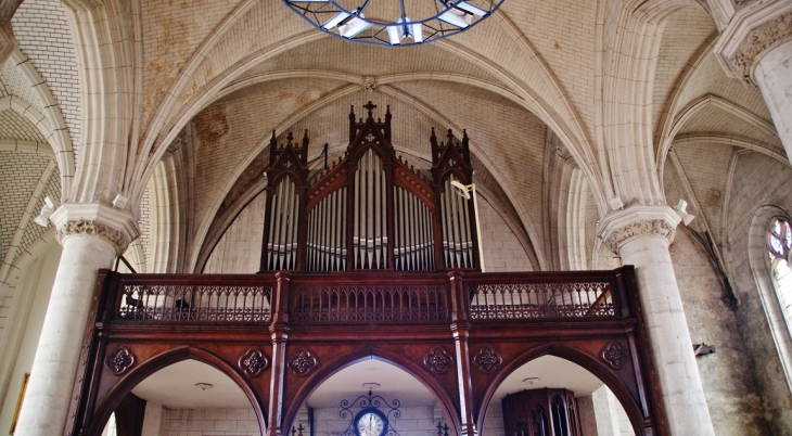 église St Martin - Samer