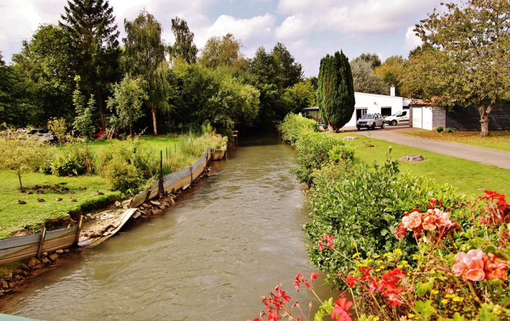 La Canche - Vieil-Hesdin