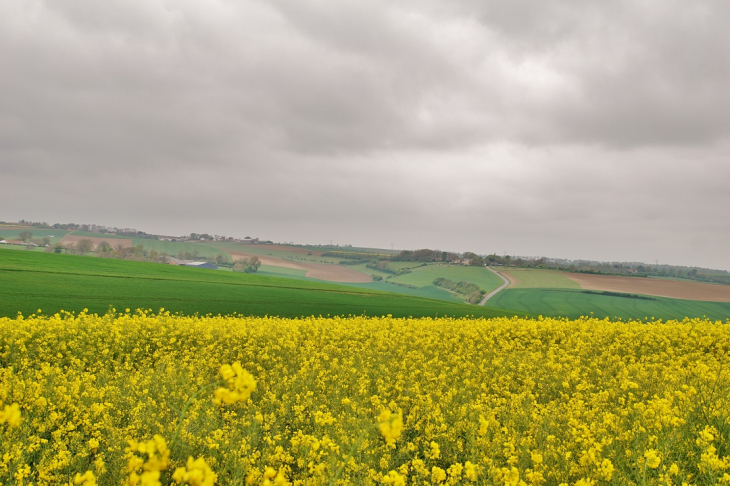 La Campagne - Widehem