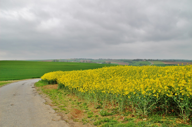 La Campagne - Widehem