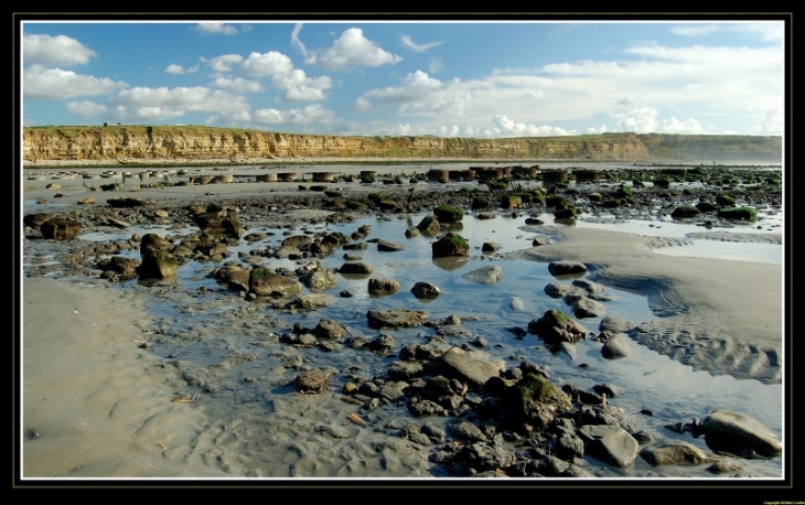 Falaise de la creche à Wimereux