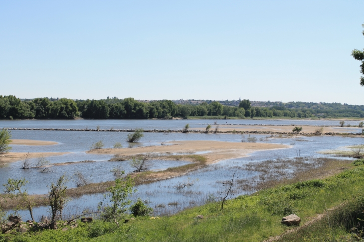 La Loire  - Ancenis