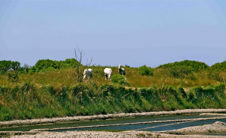  - Guérande