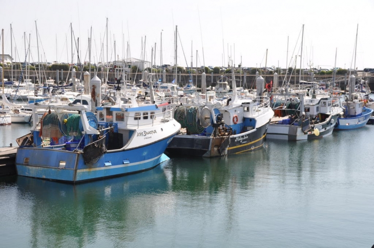 Le port - La Turballe