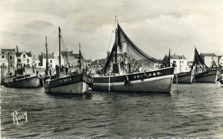 Bateaux de pêche à quai (carte postale de 1950) - La Turballe