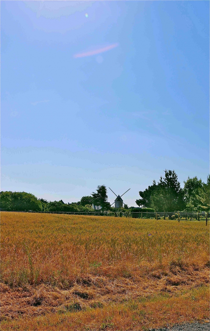 Le Moulin de Kerboue - La Turballe