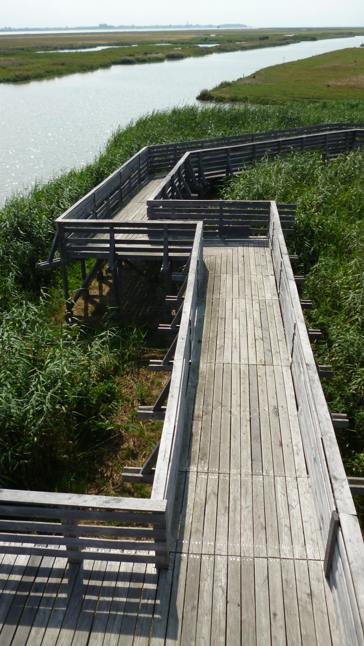 Passerelle de Tadashi Kawamata - Lavau-sur-Loire