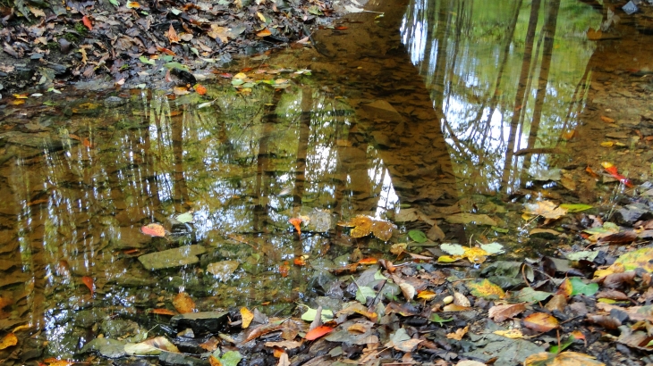 Automne - Le Cellier