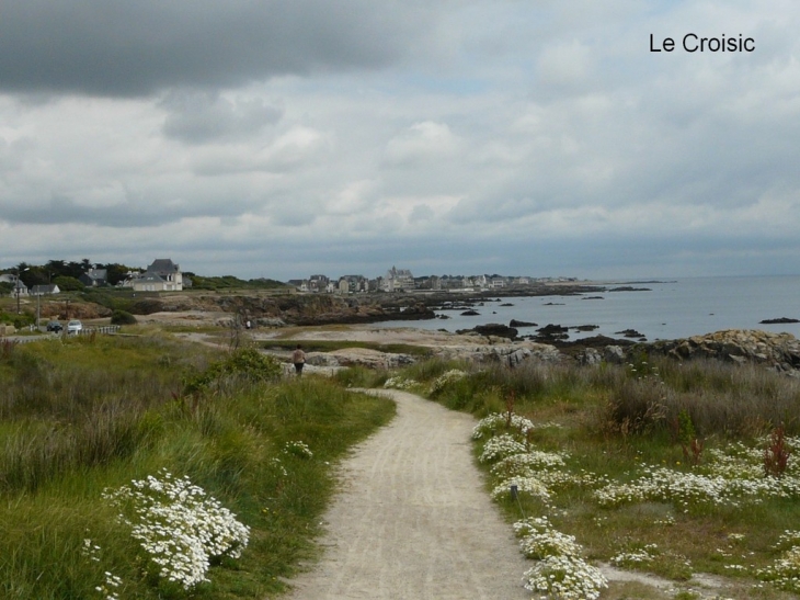 La côte - Le Croisic