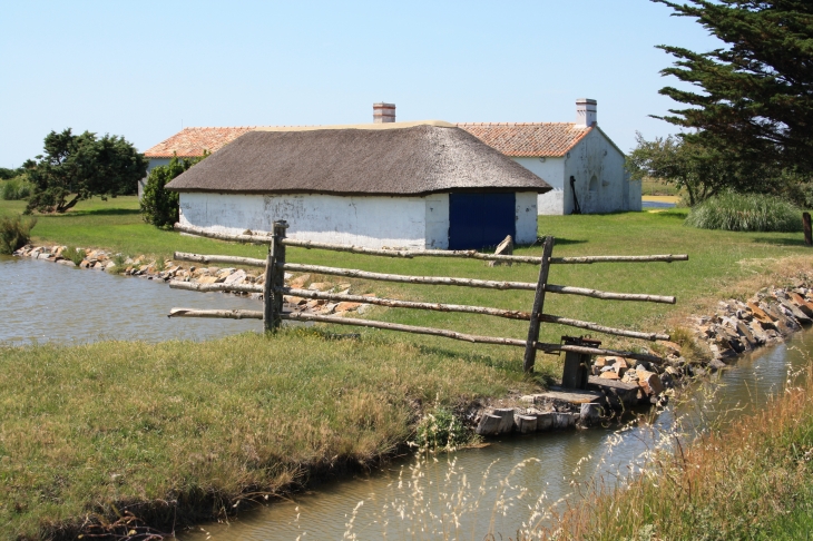 Maison typique des marais près du Collet - Les Moutiers-en-Retz