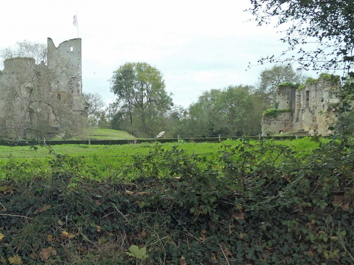 Les ruines du château - Machecoul