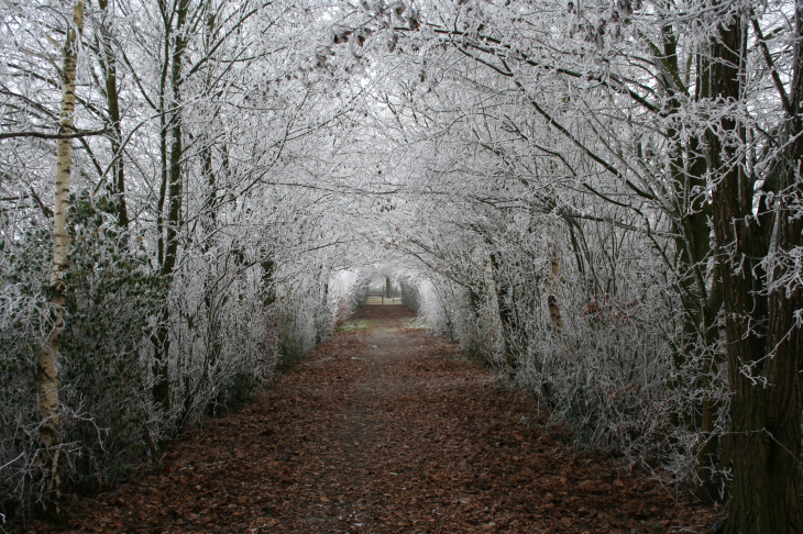 Chemin de Farinel - Moisdon-la-Rivière