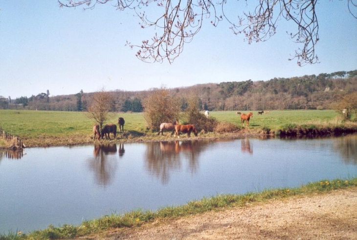 Canal bordant le domaine de Carheil - Plessé