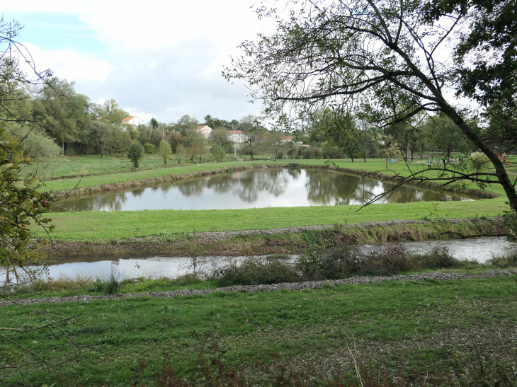 Le site du moulin : l'étang - Saint-Étienne-de-Mer-Morte