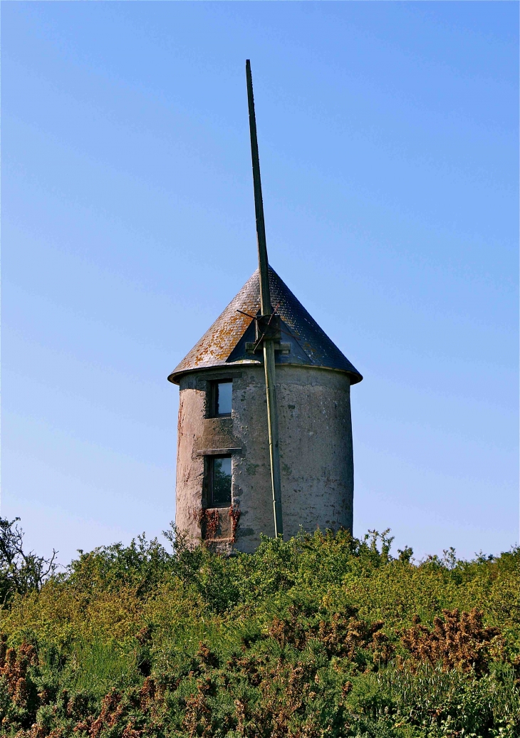 Moulin Marchand - Saint-Molf