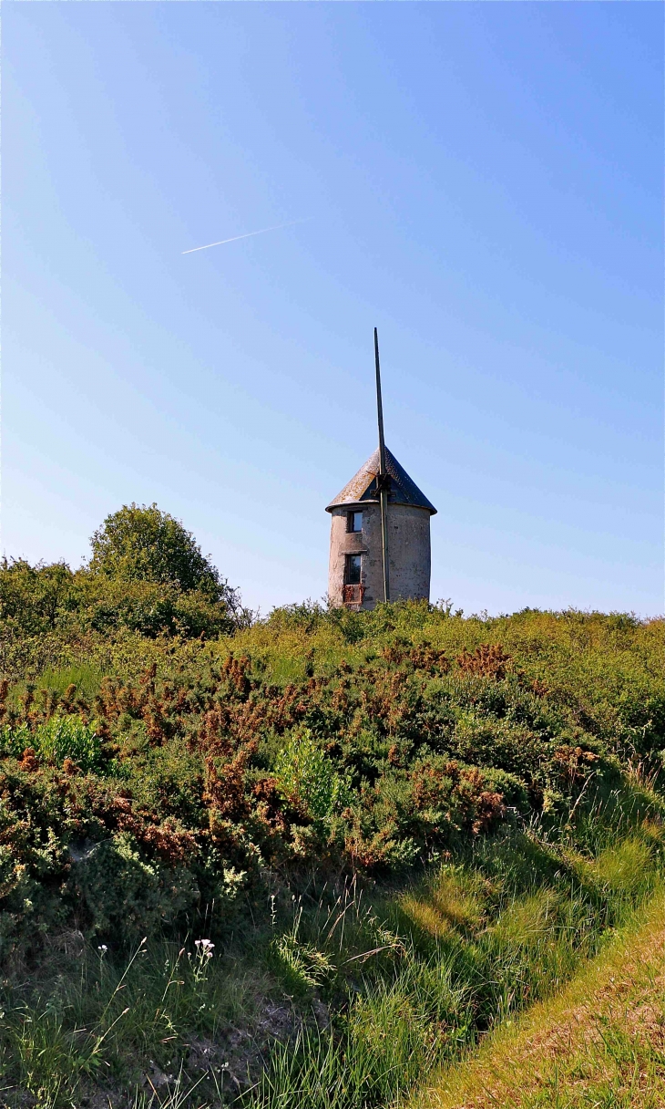 Moulin Marchand - Saint-Molf