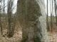 Photo suivante de Vay menhir de la drouetterie vay monument historique