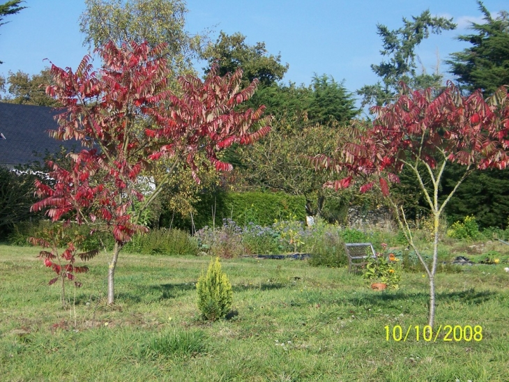 Automne à Vritz