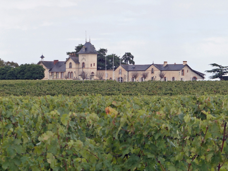 Le domaine de la Soucherie - Beaulieu-sur-Layon