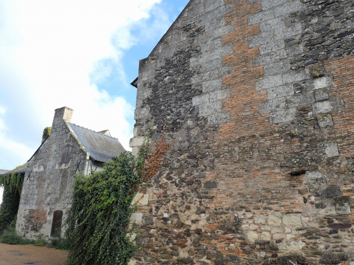 Maisons du village - Béhuard