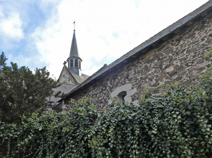 Vue sur le clocher - Béhuard