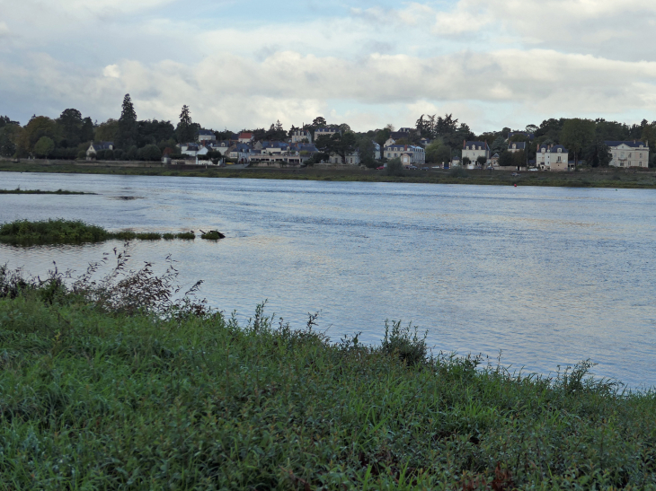 Vue sur La Pointe au bord de la Loire - Bouchemaine