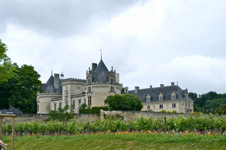 Le château est un monument dont une vaste galerie souterraine a été récemment découverte  - Brézé