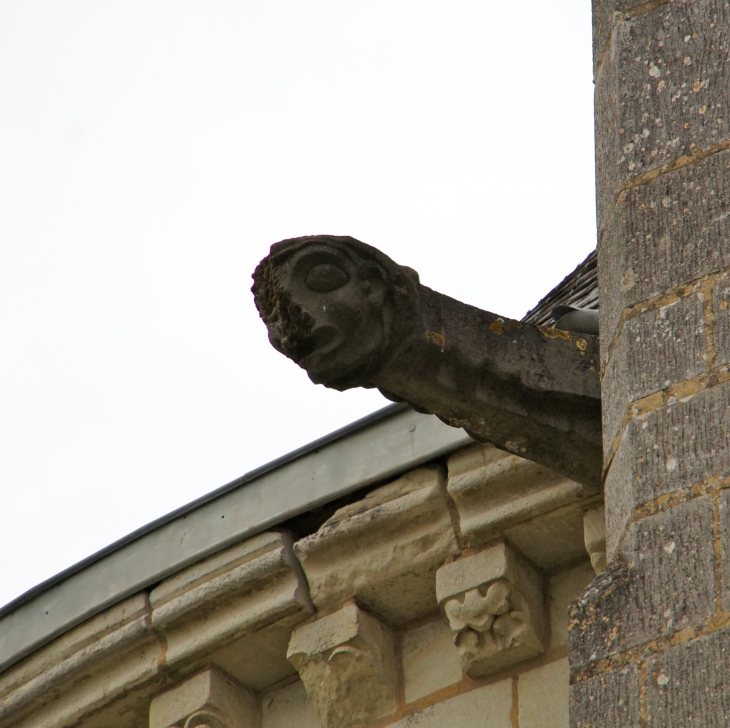 Gargouille de l'église Saint Vincent. - Brézé