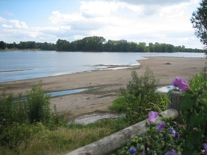 La Loire vue de Chenehutte - Chênehutte-Trèves-Cunault