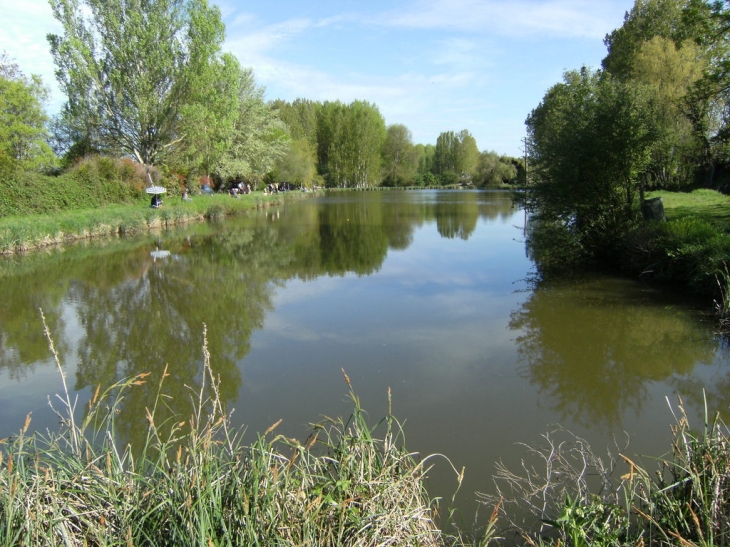 Plan d'eau (peche,pique nique...) - Dénezé-sous-le-Lude