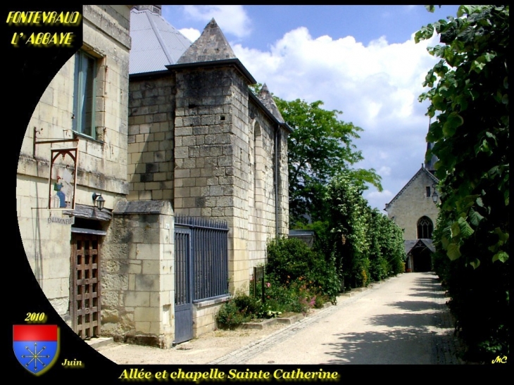 Allée et chapelle Ste Catherine - Fontevraud-l'Abbaye