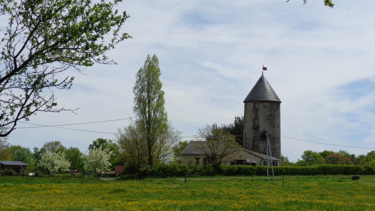 Moulin d'Auverse - Freigné