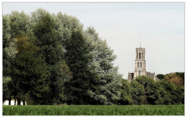 Le clocher de Grézillé vu depuis l'Aubance