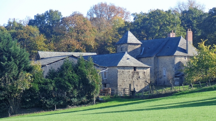 Ferme du Vaududon (XVIè siècle) - La Chapelle-sur-Oudon