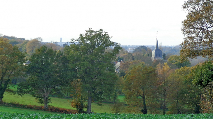 Vue sur le clocher en venant des Gaudines - La Chapelle-sur-Oudon