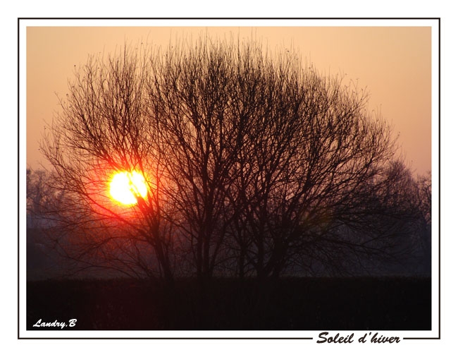 Soleil sur l'étang du frène - Landemont