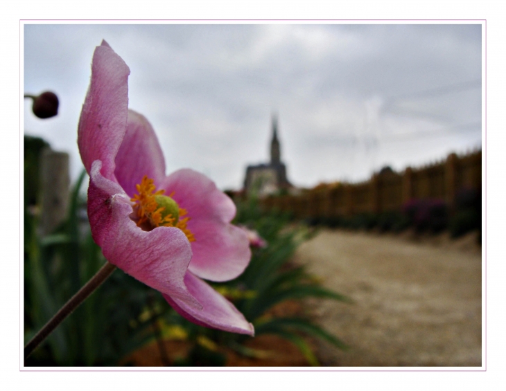 Village fleuri - Landemont